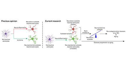 Alleviating Neurodegenerative Disease Symptoms by Specifically Modulating Astrocyte Substate Transitions