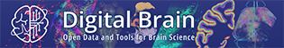 DigitalBrain.png